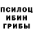 Псилоцибиновые грибы Psilocybe Leo Shport
