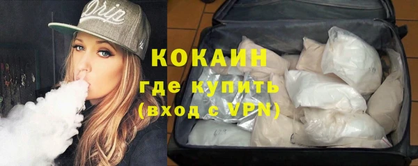 МДПВ Алзамай