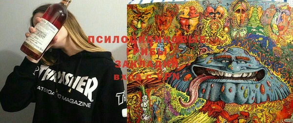 МДПВ Алзамай