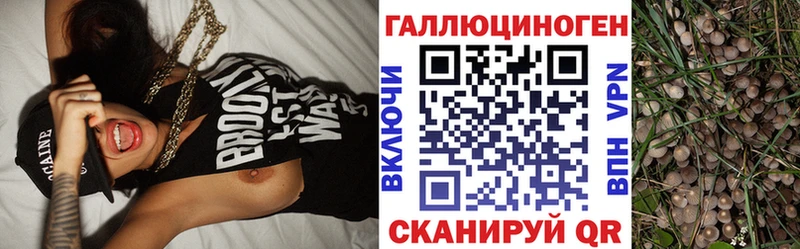 Псилоцибиновые грибы Magic Shrooms  закладки  Железногорск 